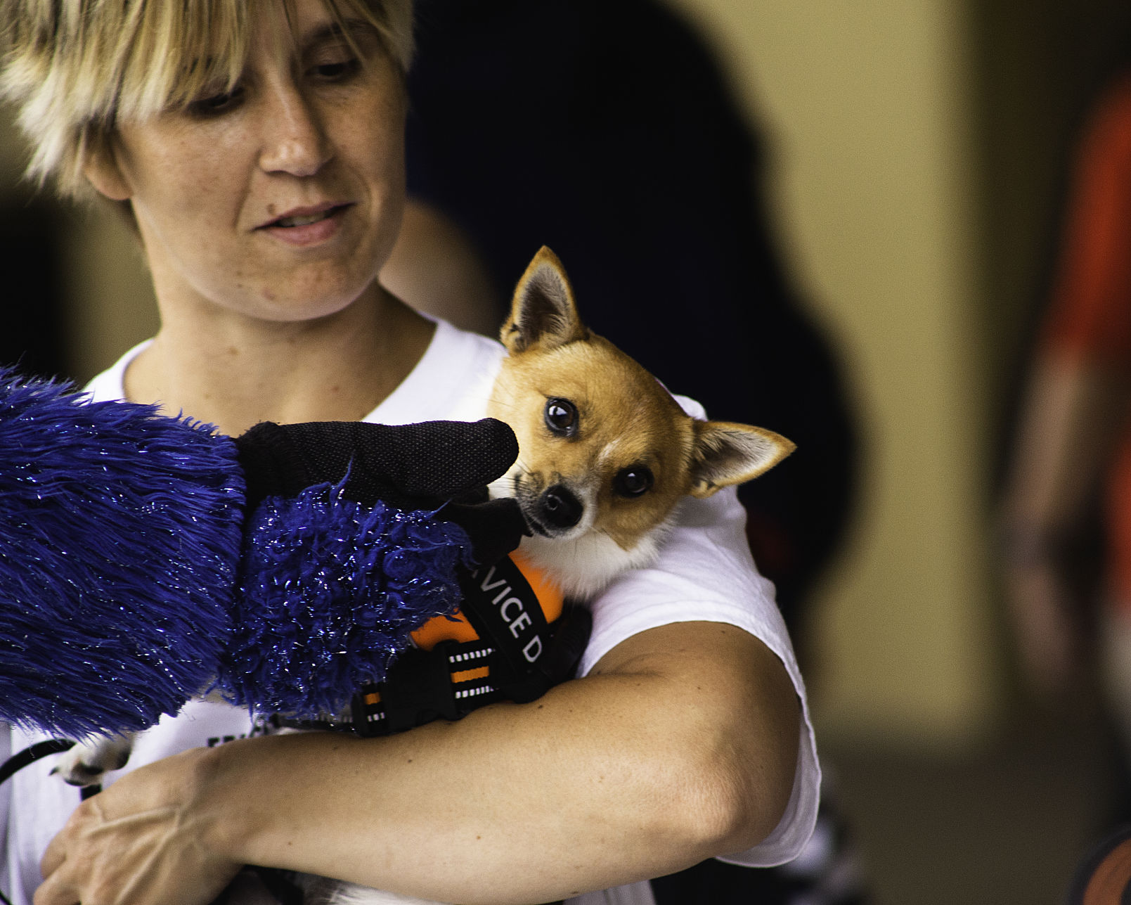 Bark in the Park